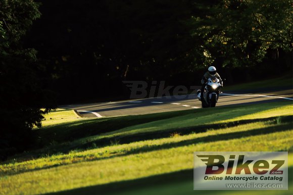 2019 Suzuki GSX-R1000R