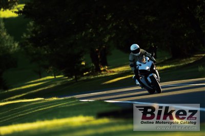 2019 Suzuki GSX-R1000R
