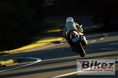 2019 Suzuki GSX-R1000R