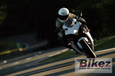 2019 Suzuki GSX-R1000R