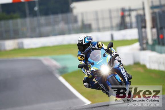 2019 Suzuki GSX-R1000R