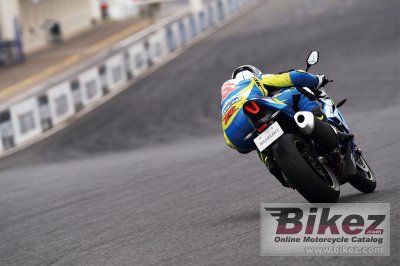 2019 Suzuki GSX-R1000R