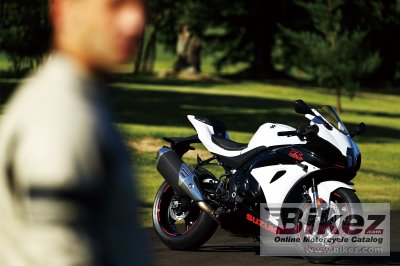 2019 Suzuki GSX-R1000R
