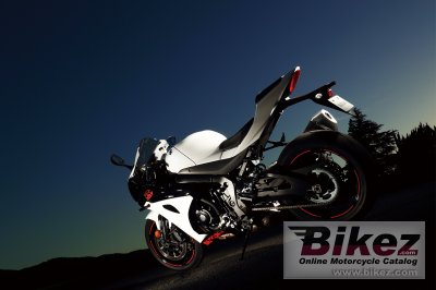 2019 Suzuki GSX-R1000R