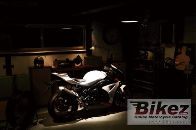 2019 Suzuki GSX-R1000R