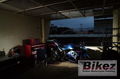 2019 Suzuki GSX-R1000R