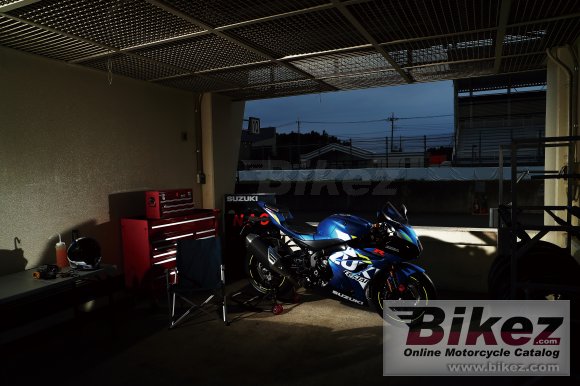 2019 Suzuki GSX-R1000R