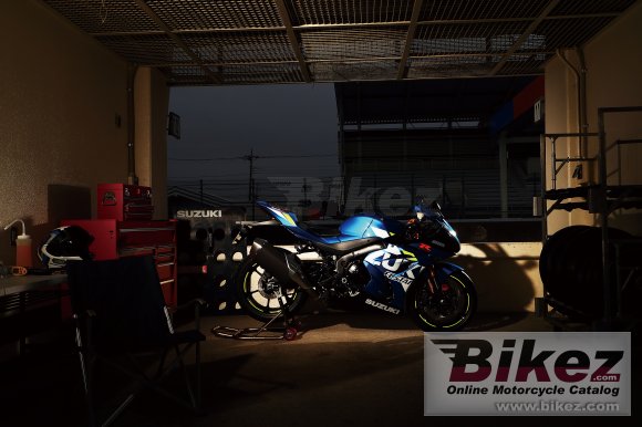 2019 Suzuki GSX-R1000R