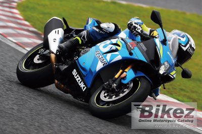 2019 Suzuki GSX-R1000R