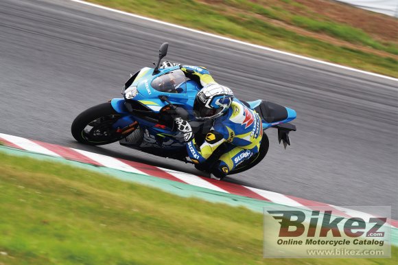 2019 Suzuki GSX-R1000R