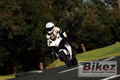2019 Suzuki GSX-R1000R