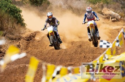 2019 Suzuki RM-Z250