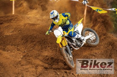2019 Suzuki RM-Z250