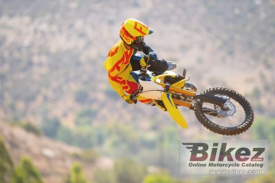 2019 Suzuki RM-Z250