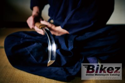 2019 Suzuki Katana