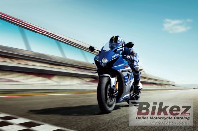 2021 Suzuki GSX-R1000R Anniversary