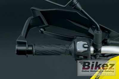 2023 Suzuki V-Strom 800DE