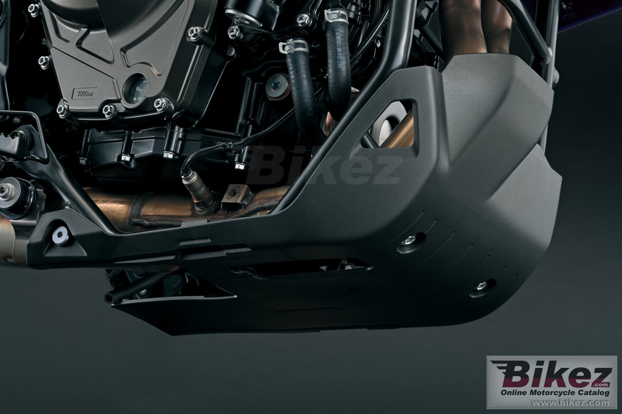 Suzuki V-Strom 800DE