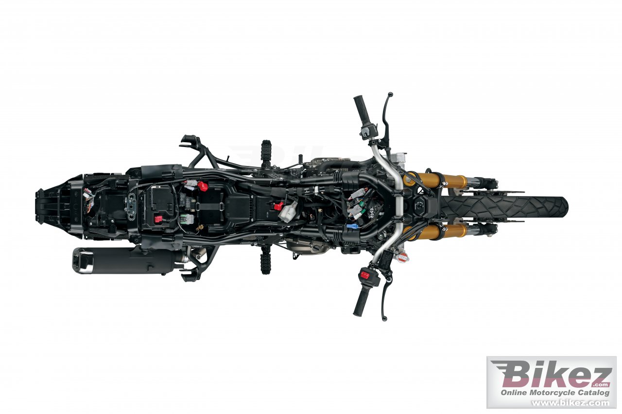 Suzuki V-Strom 800DE