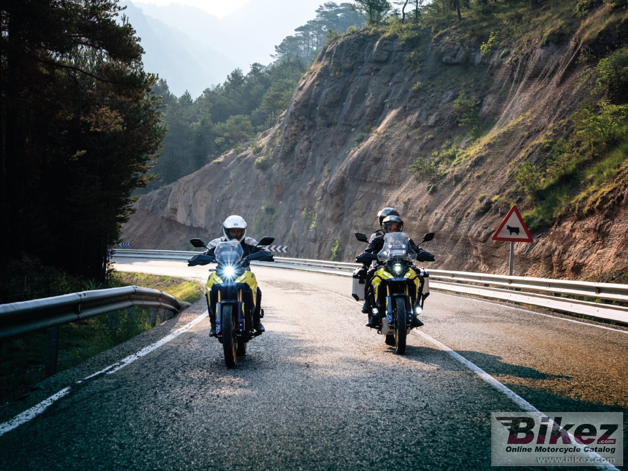 Suzuki V-Strom 800DE