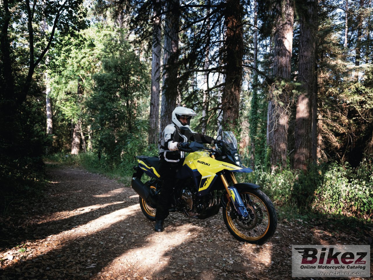 Suzuki V-Strom 800DE