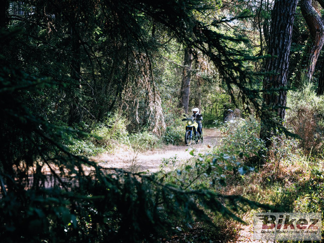 Suzuki V-Strom 800DE