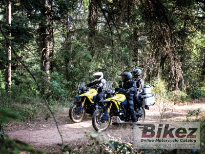 2023 Suzuki V-Strom 800DE