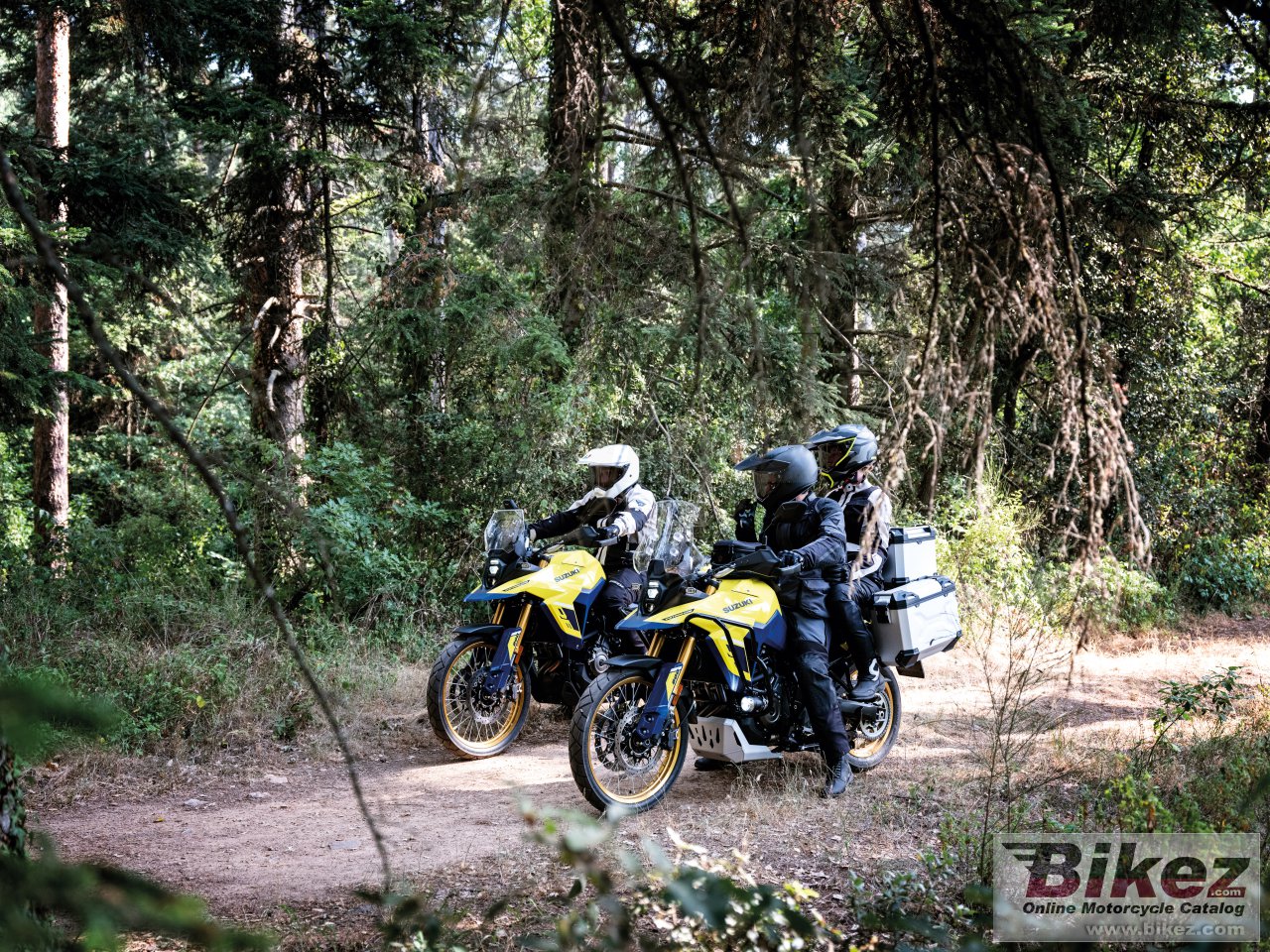 Suzuki V-Strom 800DE