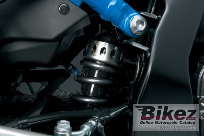 2023 Suzuki GSX-8S