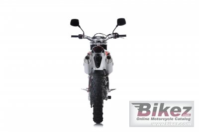 2016 SWM RS 300 R