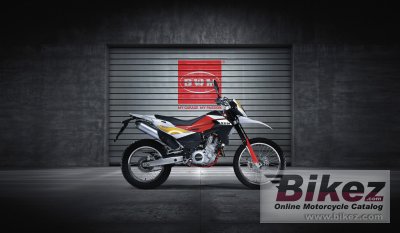 2016 SWM RS 650 R