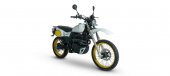 2025 SWM Silver Vase T 650