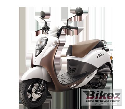 2014 Sym Mio 100 rated