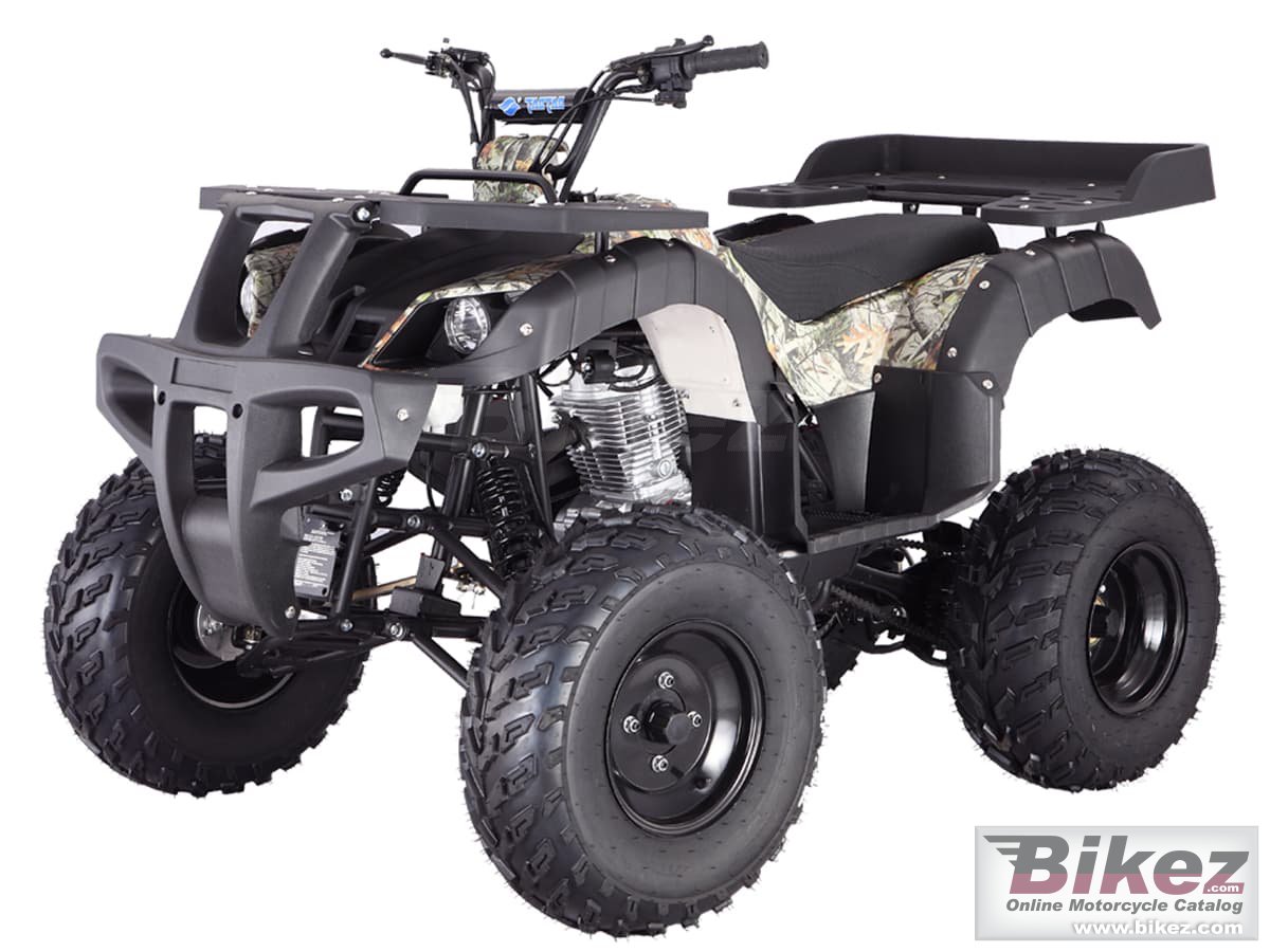 Tao Motor Rhino 250