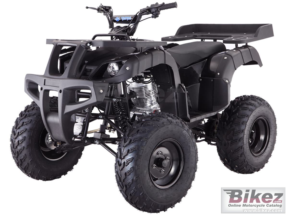 Tao Motor Rhino 250