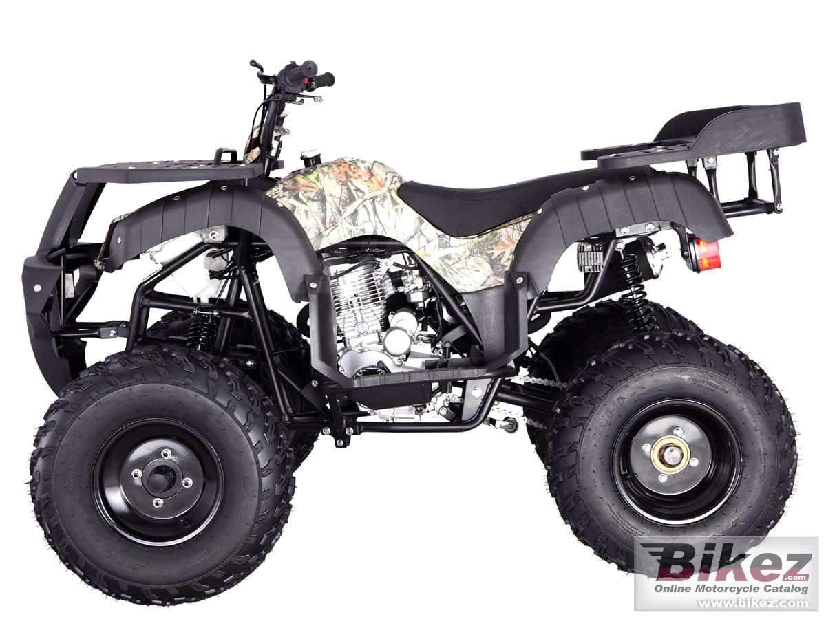 Tao Motor Rhino 250