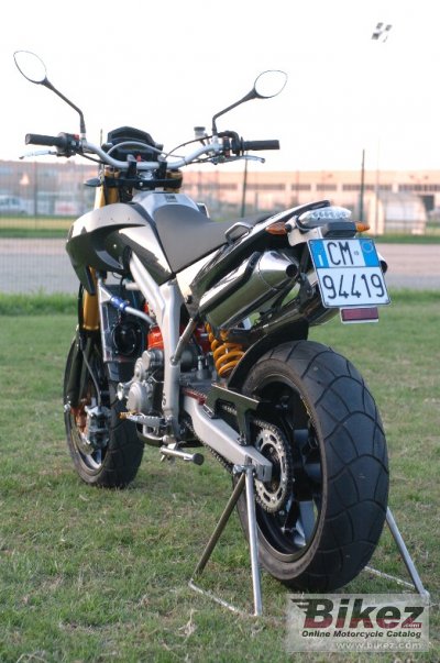 2013 Terra Modena 198