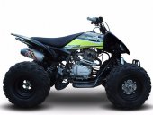 2020 Thumpstar ATV 250