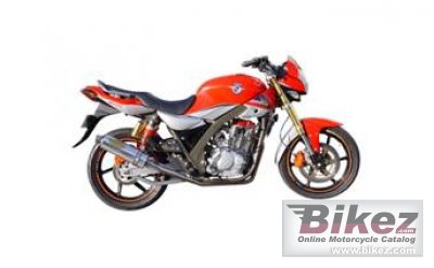 Tiger Boxer 250 RS