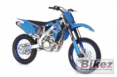 2010 TM Racing MX 450 F rated
