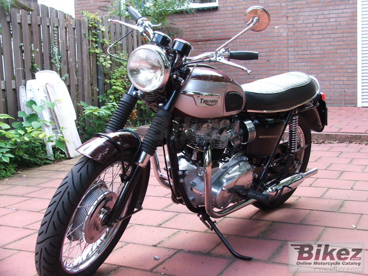 Triumph T 120 R Bonneville 650