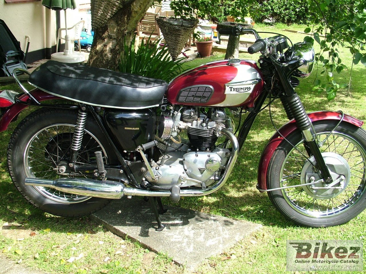 Triumph T 120 R Bonneville 650