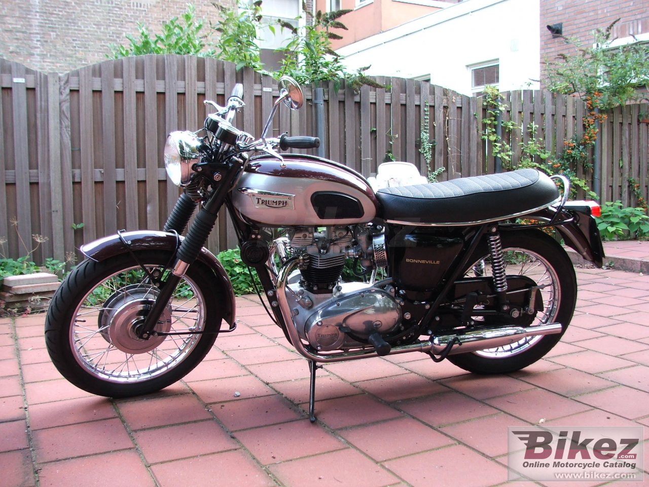 Triumph T 120 R Bonneville 650