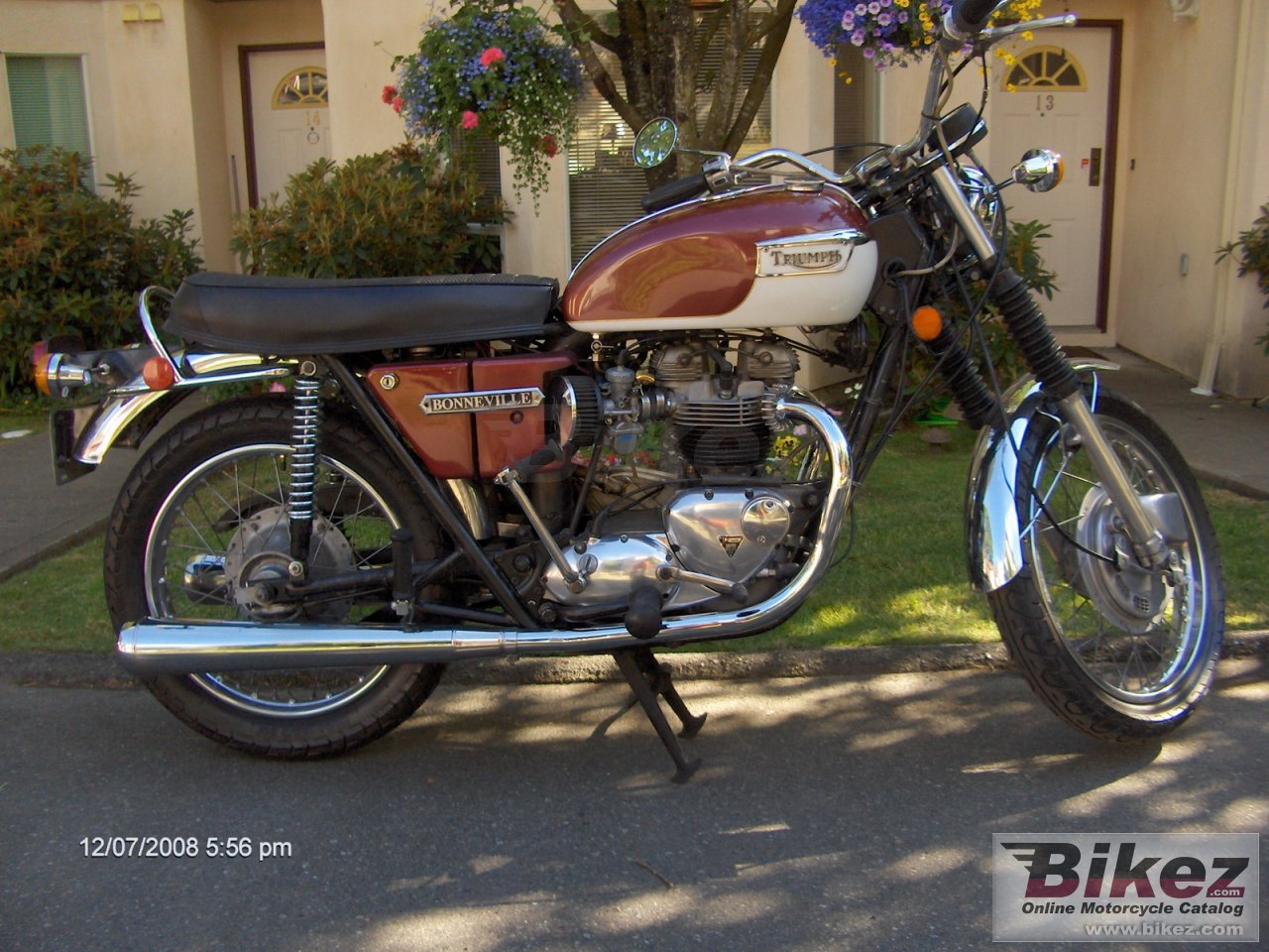 Triumph T 120 R Bonneville 650