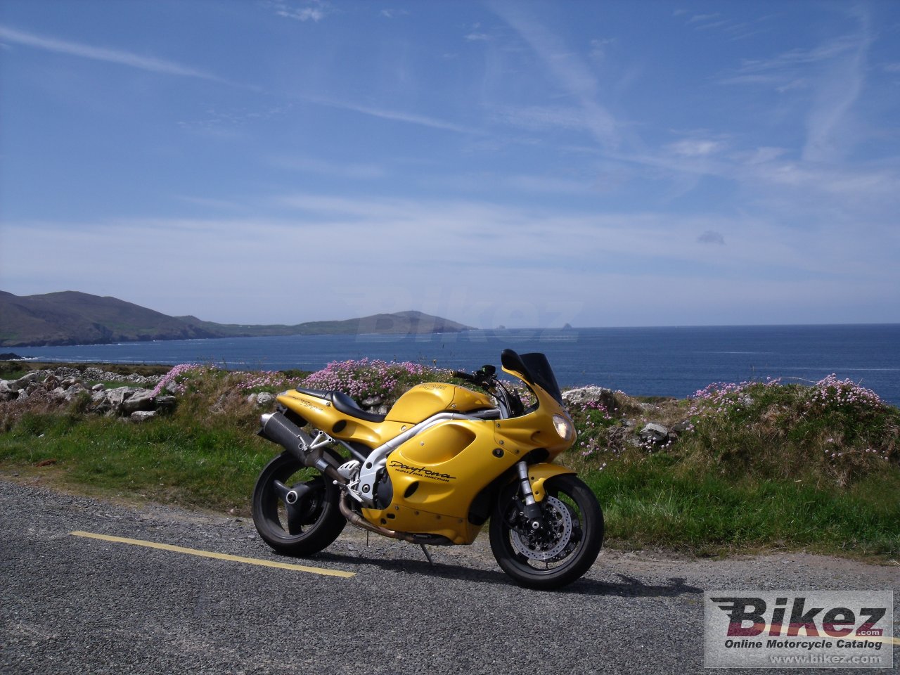 Triumph Daytona T595