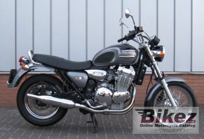 2002 Triumph Thunderbird