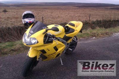 2003 Triumph Daytona 955i