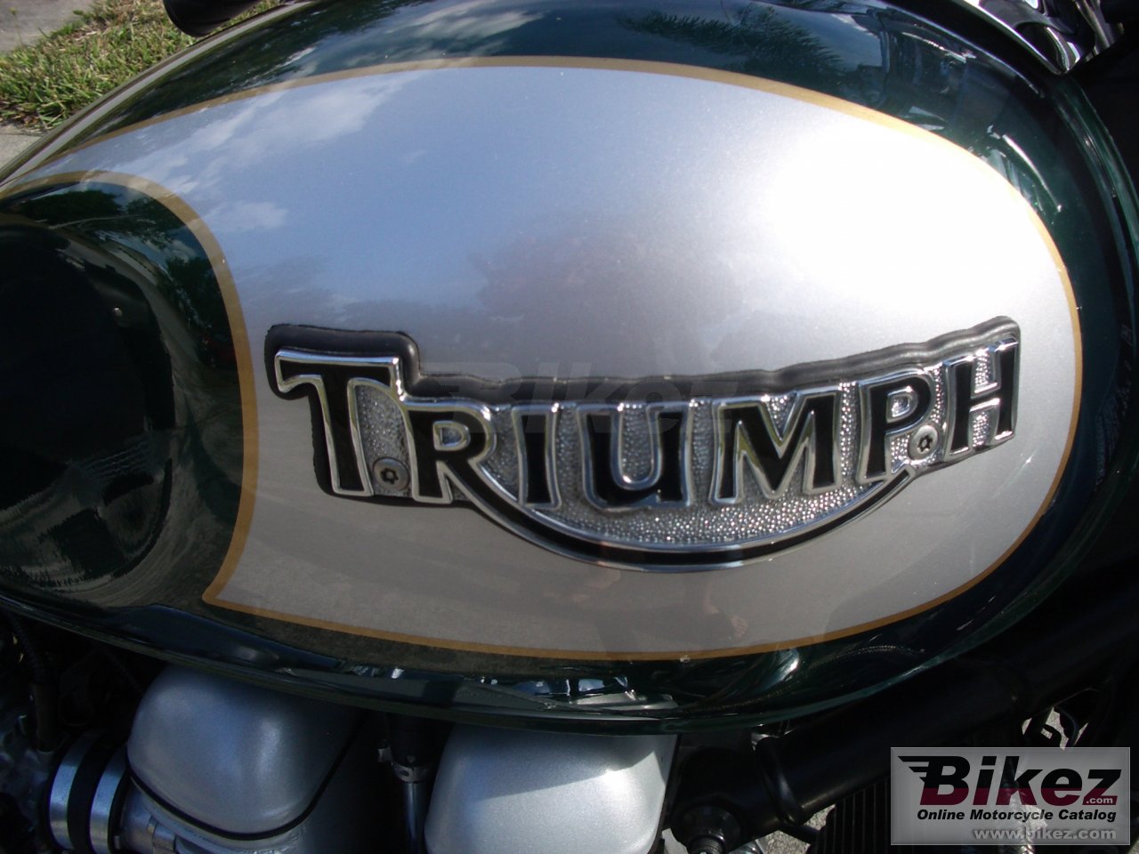 Triumph America