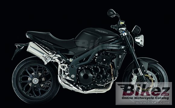 2010 Triumph Speed Triple