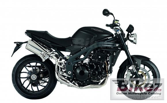 2010 Triumph Speed Triple